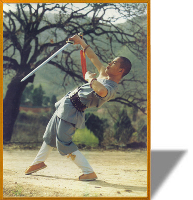 http://www.shaolin-wushu.com/tp/54.jpg